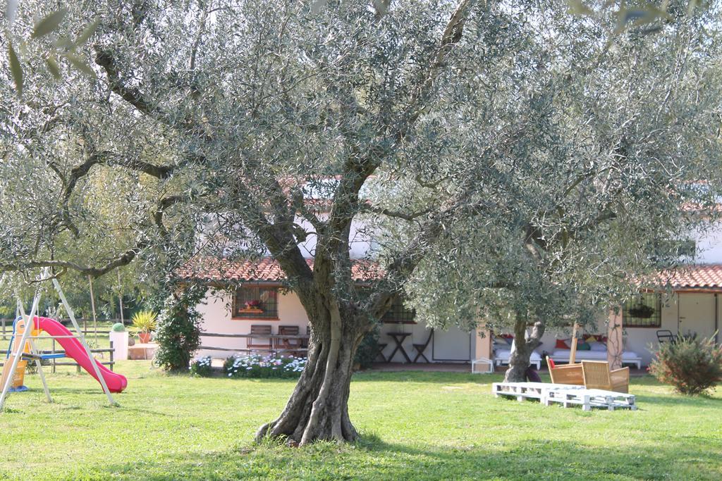 Borgo S.Maria Di Vulci Montalto di Castro Exterior foto
