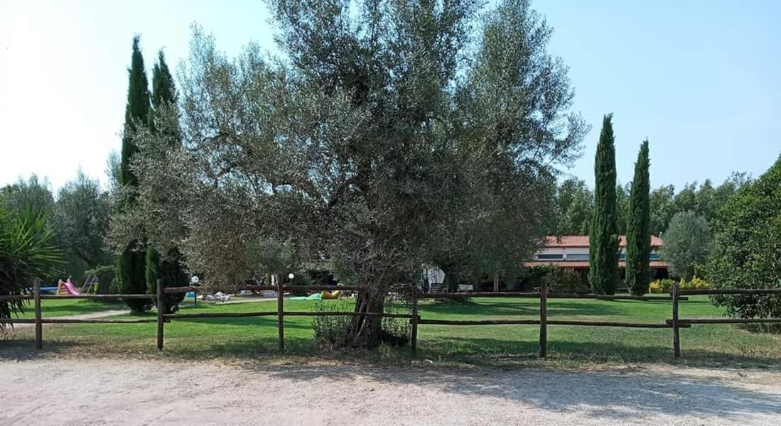 Borgo S.Maria Di Vulci Montalto di Castro Exterior foto